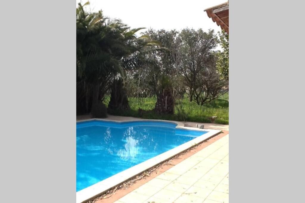 Big Relax Apartment With Swimming Pool And A Peaceful Garden In A Private Villa Sestu Dış mekan fotoğraf