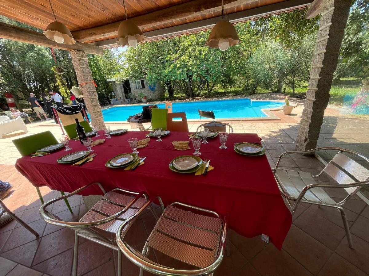 Big Relax Apartment With Swimming Pool And A Peaceful Garden In A Private Villa Sestu Dış mekan fotoğraf