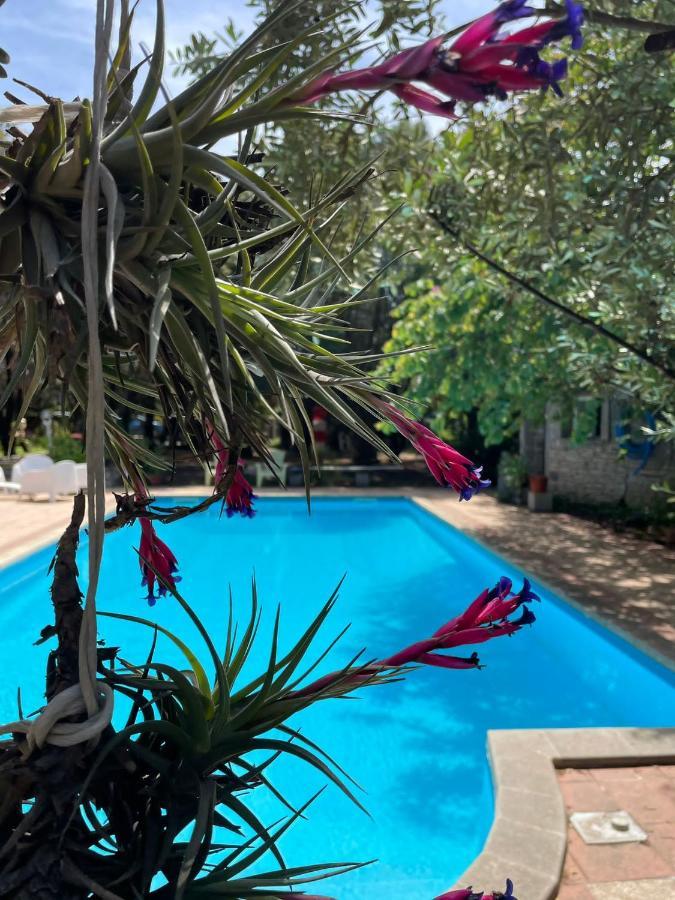 Big Relax Apartment With Swimming Pool And A Peaceful Garden In A Private Villa Sestu Dış mekan fotoğraf